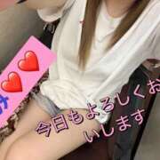 ヒメ日記 2025/04/22 17:39 投稿 えみ 一夜妻