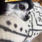 ヒメ日記 2025/05/07 00:29 投稿 えみ 一夜妻