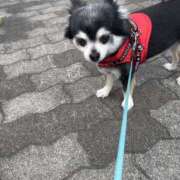 ヒメ日記 2025/05/07 14:45 投稿 えみ 一夜妻