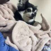 ヒメ日記 2025/06/02 05:39 投稿 えみ 一夜妻