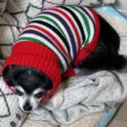 ヒメ日記 2025/08/16 07:39 投稿 えみ 一夜妻