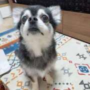 ヒメ日記 2025/08/24 05:59 投稿 えみ 一夜妻