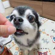 ヒメ日記 2025/08/28 05:39 投稿 えみ 一夜妻