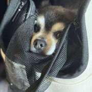 ヒメ日記 2025/09/17 07:19 投稿 えみ 一夜妻