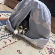 ヒメ日記 2025/10/09 06:03 投稿 えみ 一夜妻