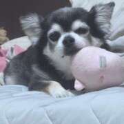 ヒメ日記 2025/11/25 07:09 投稿 えみ 一夜妻