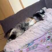 ヒメ日記 2026/03/05 11:13 投稿 えみ 一夜妻