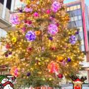 ヒメ日記 2025/12/24 14:50 投稿 中森（Nakamori） 東京エステティシャン