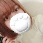 ヒメ日記 2025/05/21 04:10 投稿 ネル 五反田ハートショコラ（シンデレラグループ）