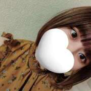 ヒメ日記 2025/05/27 03:29 投稿 ネル 五反田ハートショコラ（シンデレラグループ）