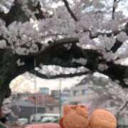 ヒメ日記 2026/03/29 21:12 投稿 志尊いのり 新ハイブリッドエステ エクスタシーPLUS