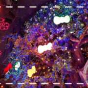 ヒメ日記 2025/04/25 15:20 投稿 きゃら 池袋あられ