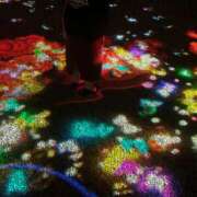 ヒメ日記 2025/01/14 06:30 投稿 黒崎りりか Guilty concept A