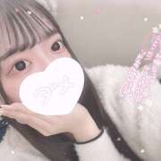 ヒメ日記 2024/12/25 23:33 投稿 モカ 姫路ラビット