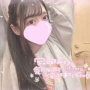 ヒメ日記 2025/02/09 03:23 投稿 モカ 姫路ラビット