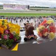 ヒメ日記 2025/05/19 18:13 投稿 白石ももな 新ハイブリッドエステ エクスタシーPLUS