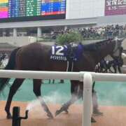 ヒメ日記 2025/06/16 07:01 投稿 白石ももな 新ハイブリッドエステ エクスタシーPLUS