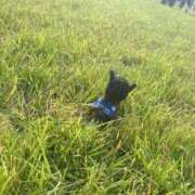 ヒメ日記 2025/06/30 00:00 投稿 白石ももな 新ハイブリッドエステ エクスタシーPLUS