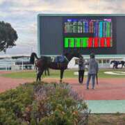 ヒメ日記 2026/01/18 17:34 投稿 白石ももな 新ハイブリッドエステ エクスタシーPLUS