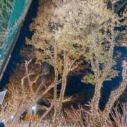 ヒメ日記 2024/12/24 12:26 投稿 りつか 吉原ファーストレディ