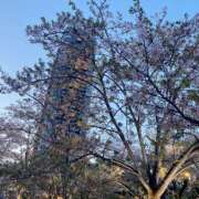 ヒメ日記 2025/04/21 18:26 投稿 りつか 吉原ファーストレディ