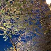 ヒメ日記 2025/04/23 20:51 投稿 りつか 吉原ファーストレディ