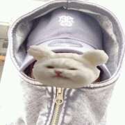 ヒメ日記 2025/07/18 01:56 投稿 りつか 吉原ファーストレディ