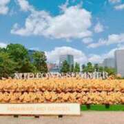 ヒメ日記 2025/09/08 06:31 投稿 りつか 吉原ファーストレディ