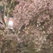 ヒメ日記 2026/04/07 22:56 投稿 りつか 吉原ファーストレディ