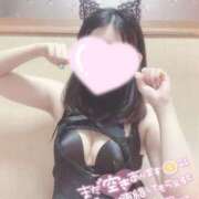 ヒメ日記 2025/09/08 17:48 投稿 クラゲ　海月 女の子市場