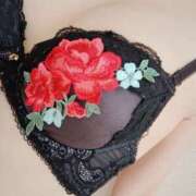 ヒメ日記 2025/05/17 01:47 投稿 木村ゆう こあくまな熟女たち 高松店（KOAKUMAグループ）