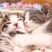 ヒメ日記 2024/12/16 17:04 投稿 西本かな 五十路マダム金沢店