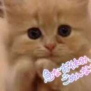 ヒメ日記 2025/01/09 21:56 投稿 西本かな 五十路マダム金沢店