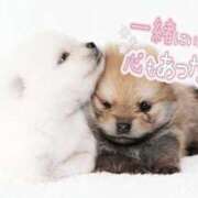 ヒメ日記 2025/01/13 14:18 投稿 西本かな 五十路マダム金沢店