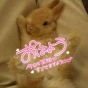 ヒメ日記 2025/01/24 07:32 投稿 西本かな 五十路マダム金沢店