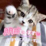 ヒメ日記 2025/01/24 23:34 投稿 西本かな 五十路マダム金沢店