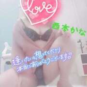 ヒメ日記 2025/04/26 12:08 投稿 西本かな 五十路マダム金沢店