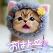 ヒメ日記 2025/04/29 07:30 投稿 西本かな 五十路マダム金沢店