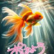 ヒメ日記 2025/06/27 07:30 投稿 西本かな 五十路マダム金沢店