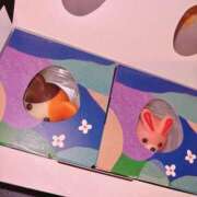 ウイ 🐱🐰 OLの品格 クラブアッシュ