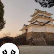 ヒメ日記 2025/02/20 20:46 投稿 れんか CECIL