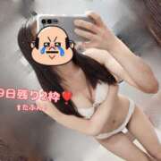 ヒメ日記 2025/03/08 15:30 投稿 れんか CECIL