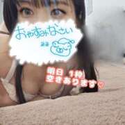 ヒメ日記 2025/03/21 21:06 投稿 れんか CECIL