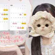 ヒメ日記 2025/04/04 22:24 投稿 れんか CECIL