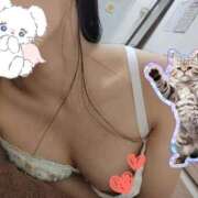 ヒメ日記 2025/04/11 21:47 投稿 れんか CECIL