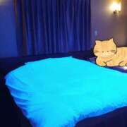 ヒメ日記 2025/07/03 01:56 投稿 れんか CECIL