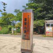 ヒメ日記 2025/07/03 08:51 投稿 れんか CECIL