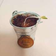 ヒメ日記 2025/08/09 22:01 投稿 れんか CECIL