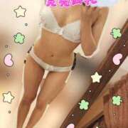 ヒメ日記 2025/08/28 20:45 投稿 れんか CECIL