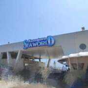 ヒメ日記 2025/08/30 16:08 投稿 れんか CECIL